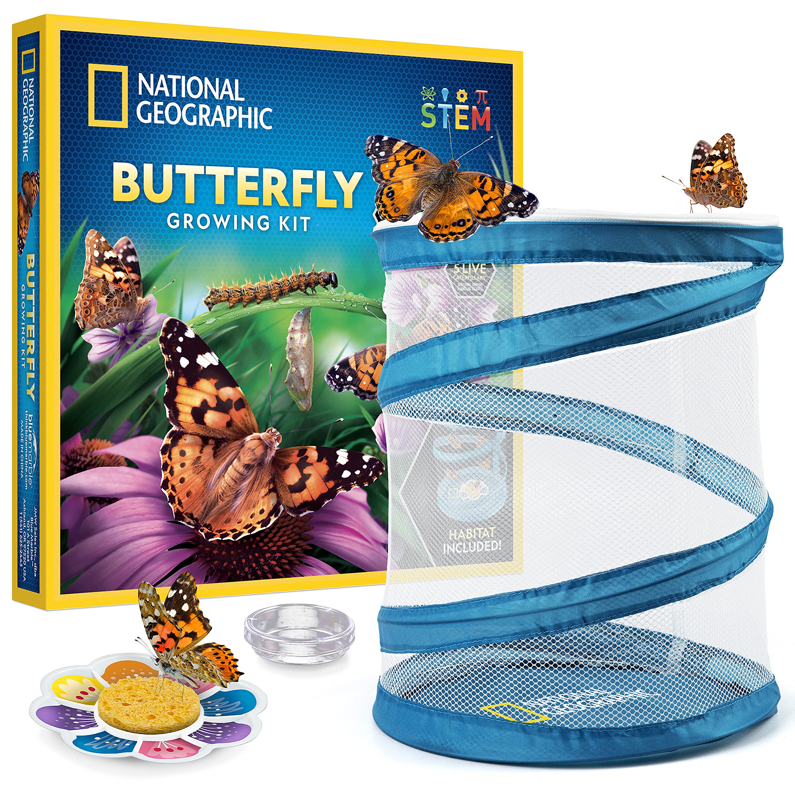 1 Best Butterfly Growing Kits