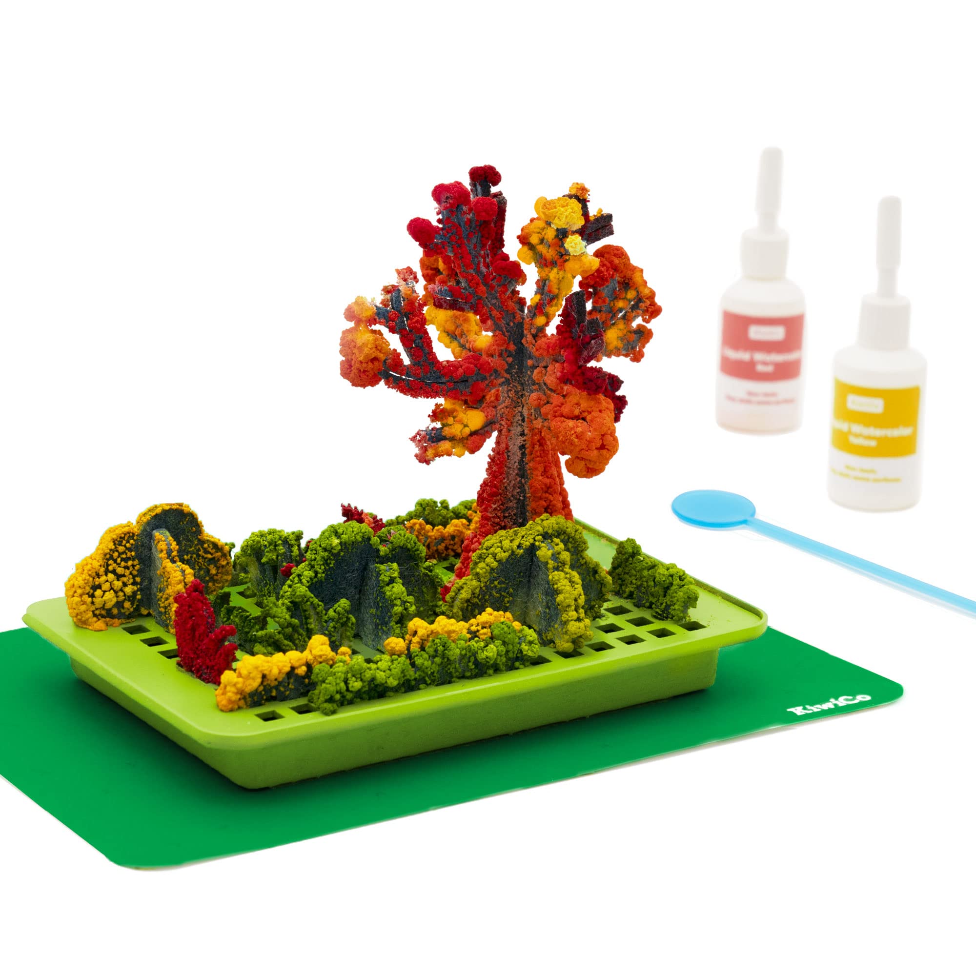 1 Best Salt Crystal Garden Kits