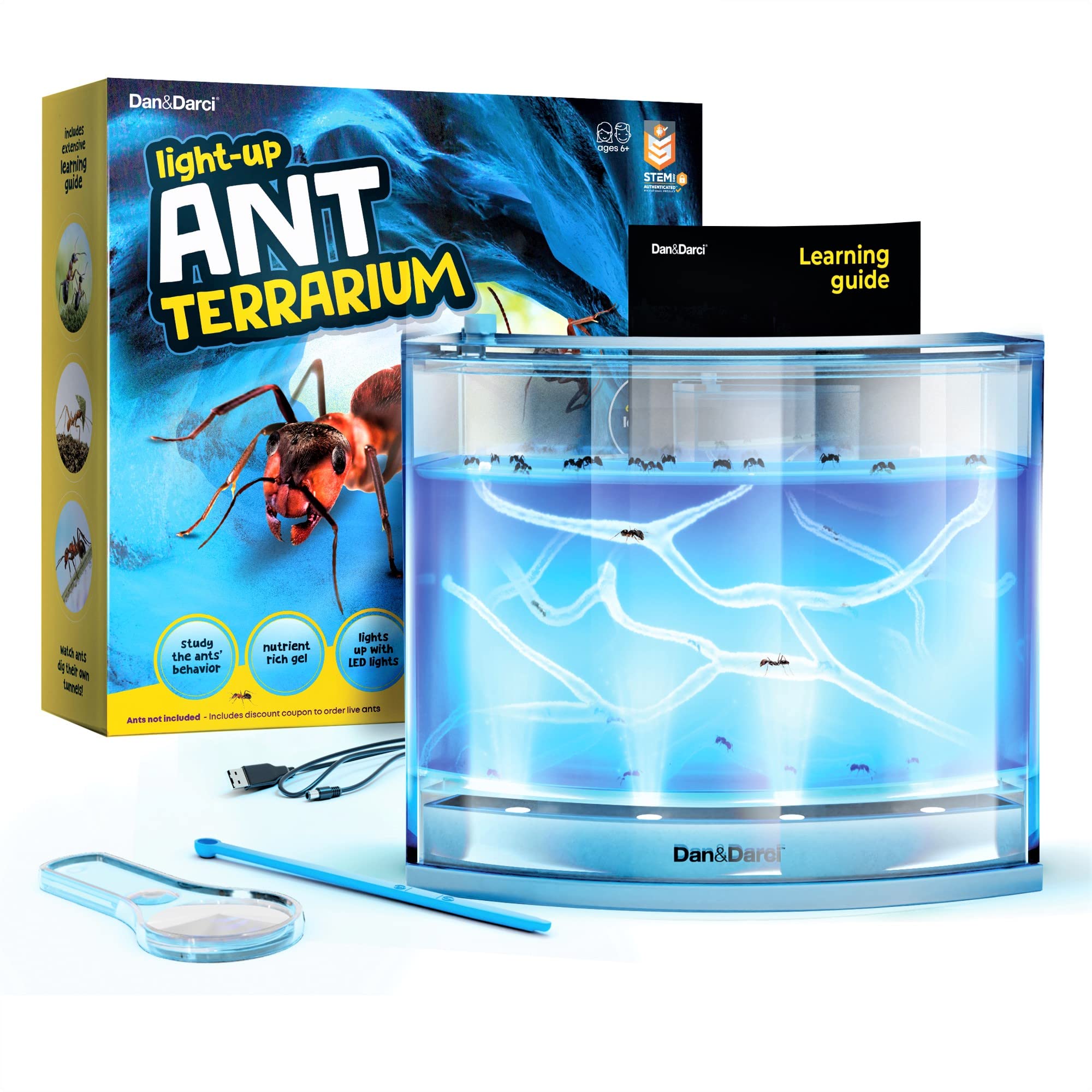 2 Best Ant Farm Sets