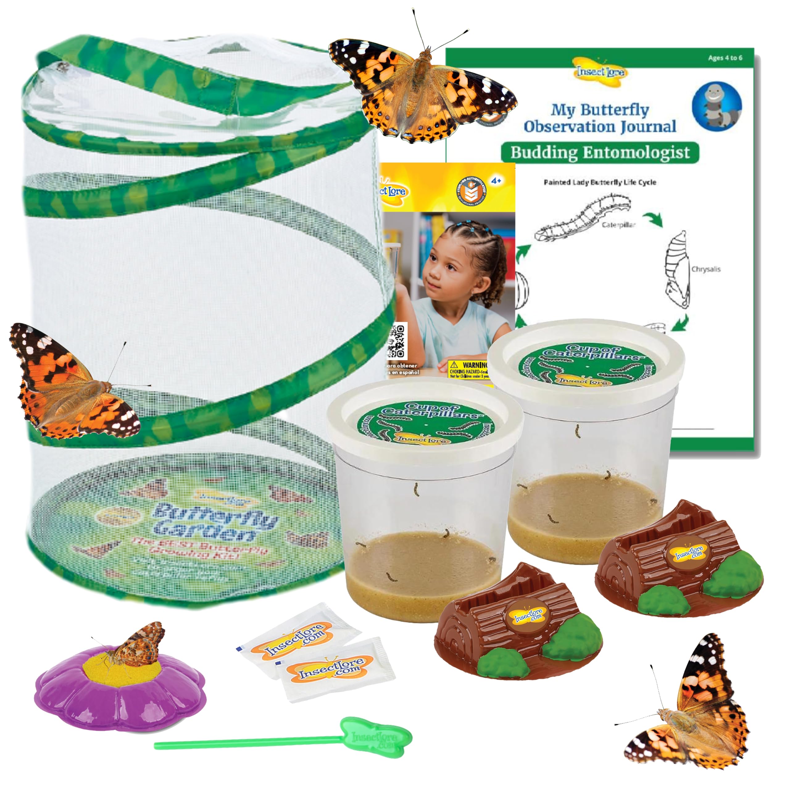 2 Best Butterfly Growing Kits