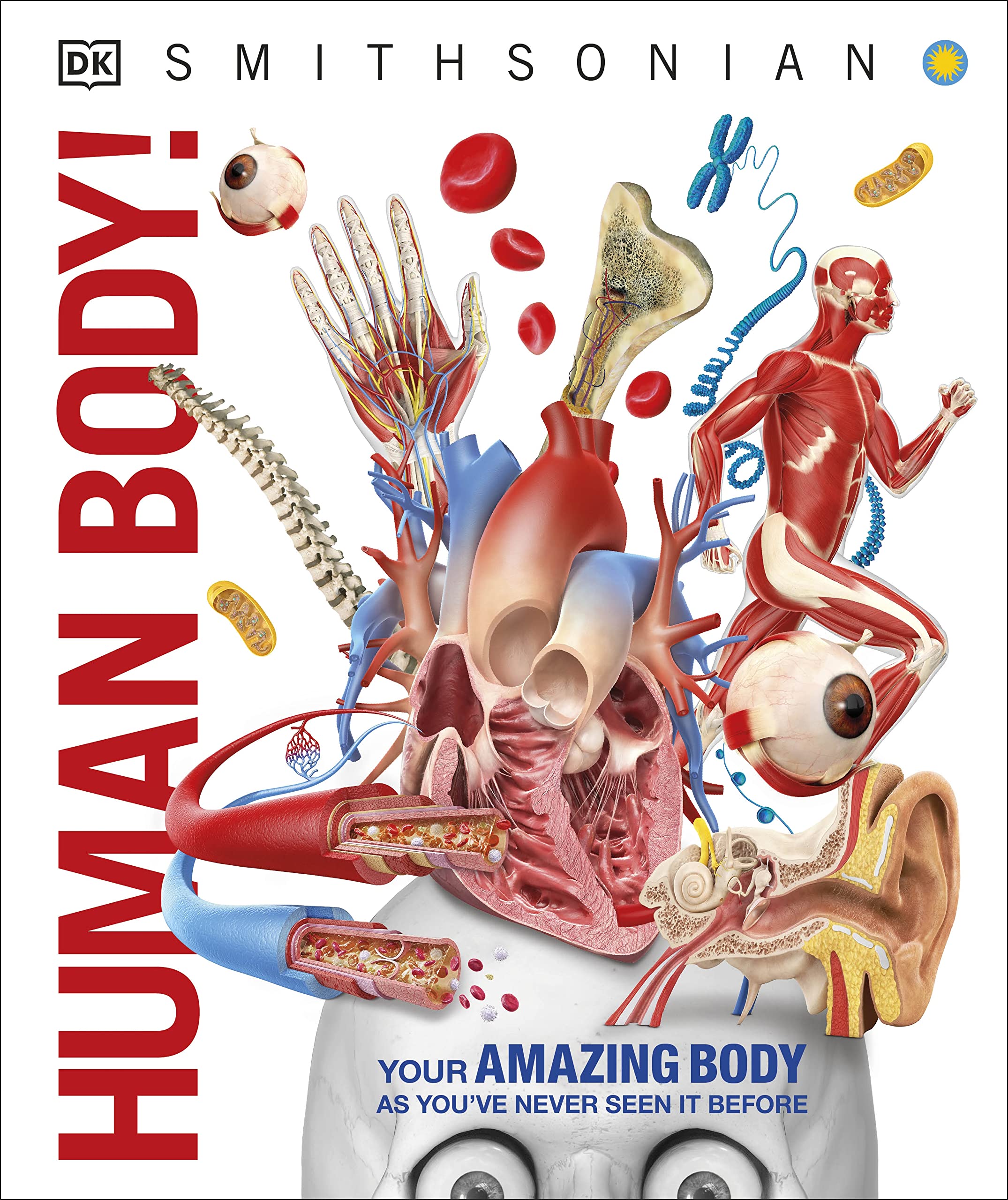 2 Best Human Anatomy Books