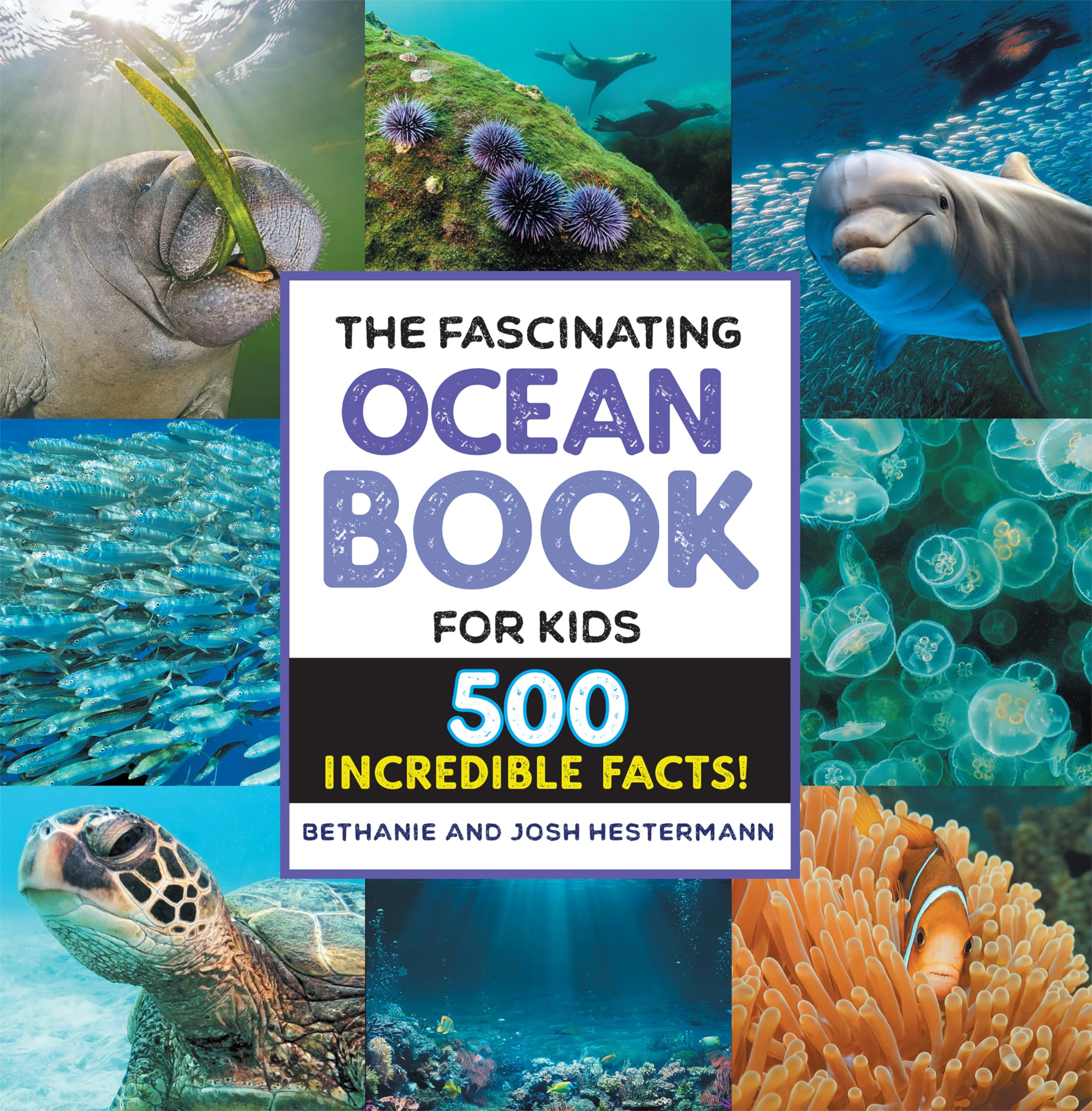 2 Best Ocean Science Books