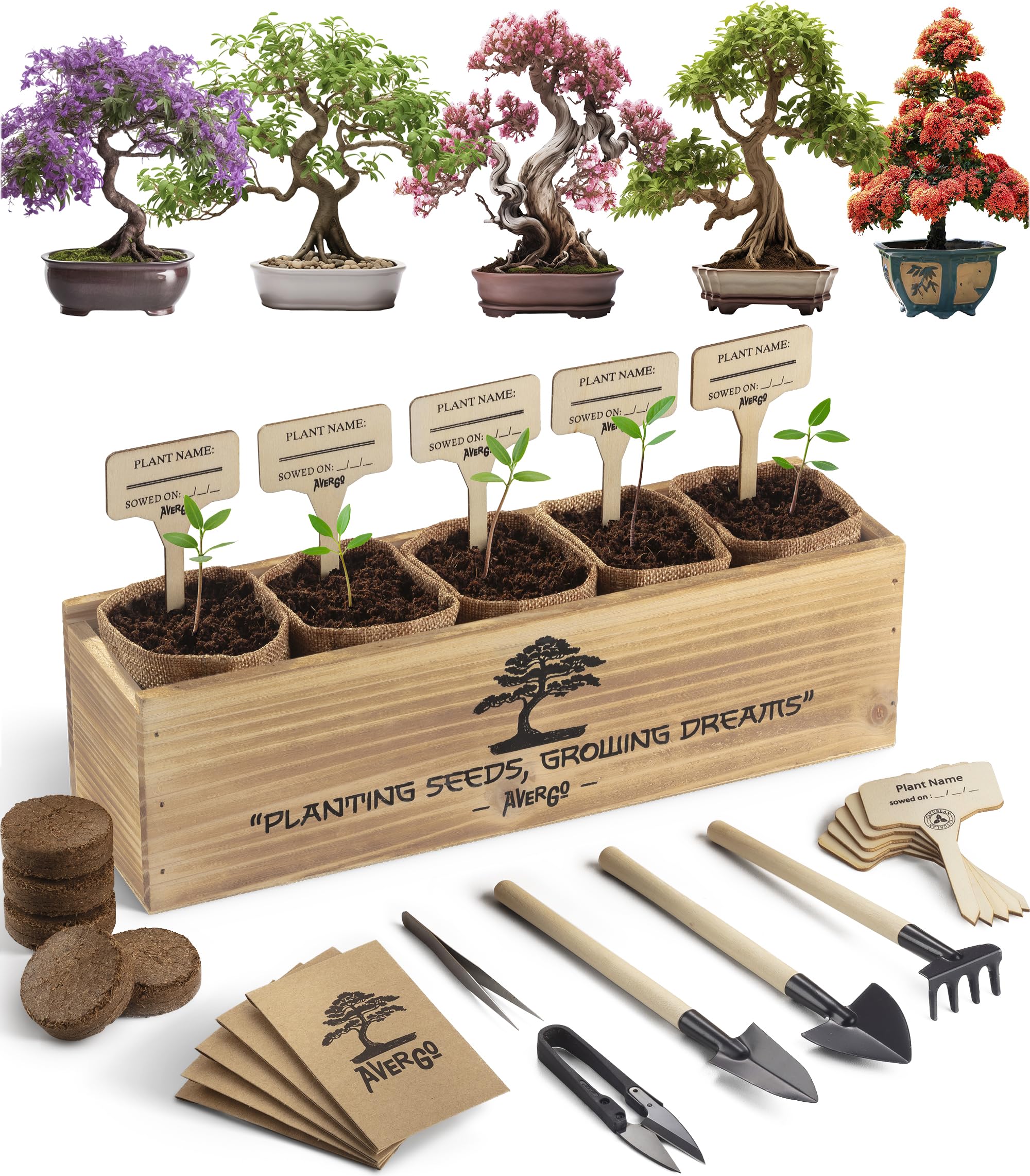 2 Best Plant Growing Kits