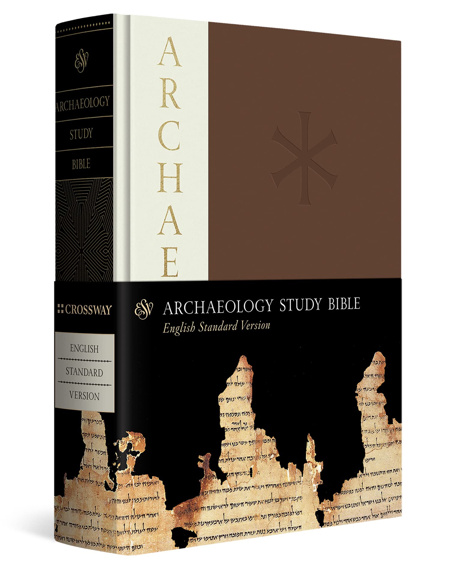 3 Best Archaeological Science Books