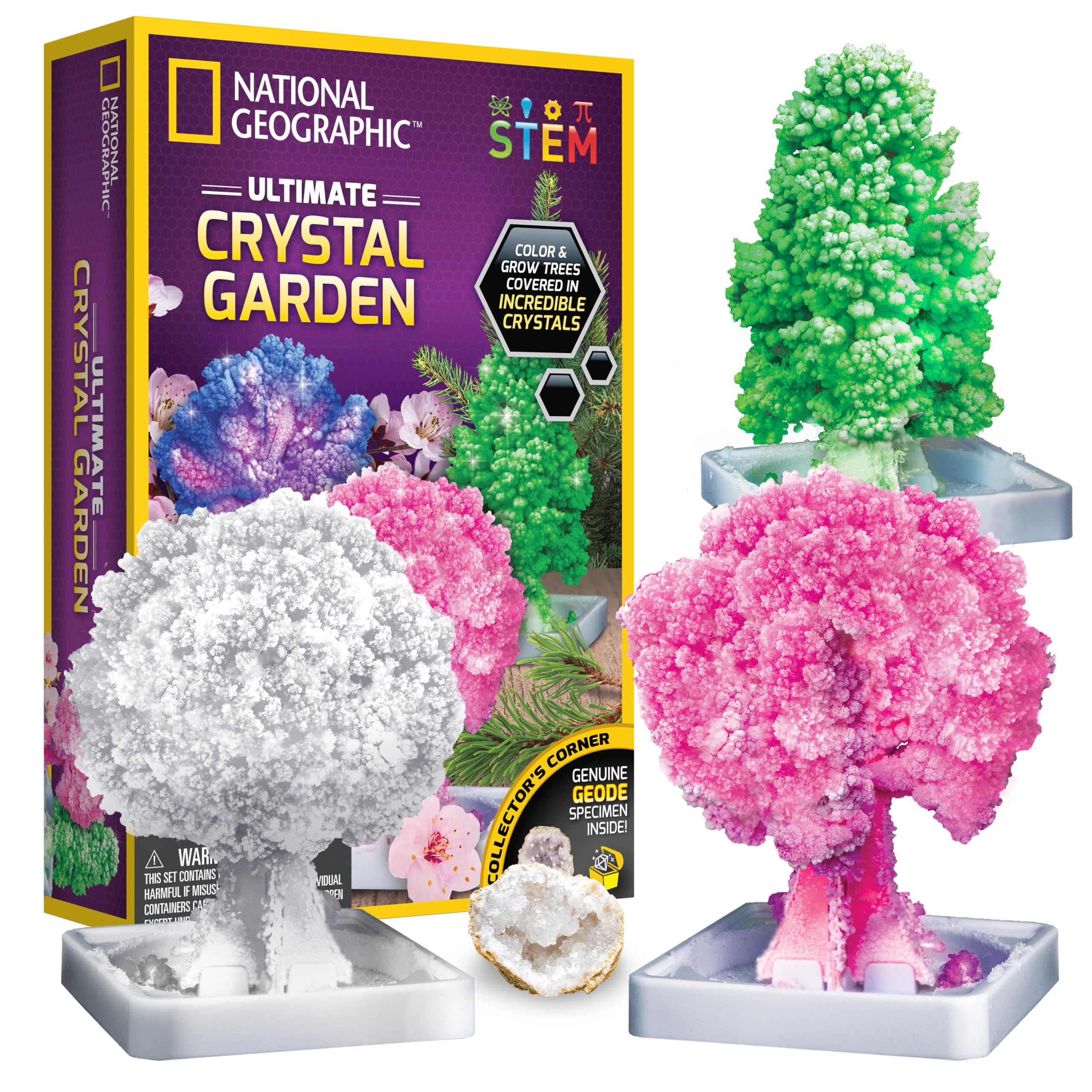 3 Best Crystal Growing Kit