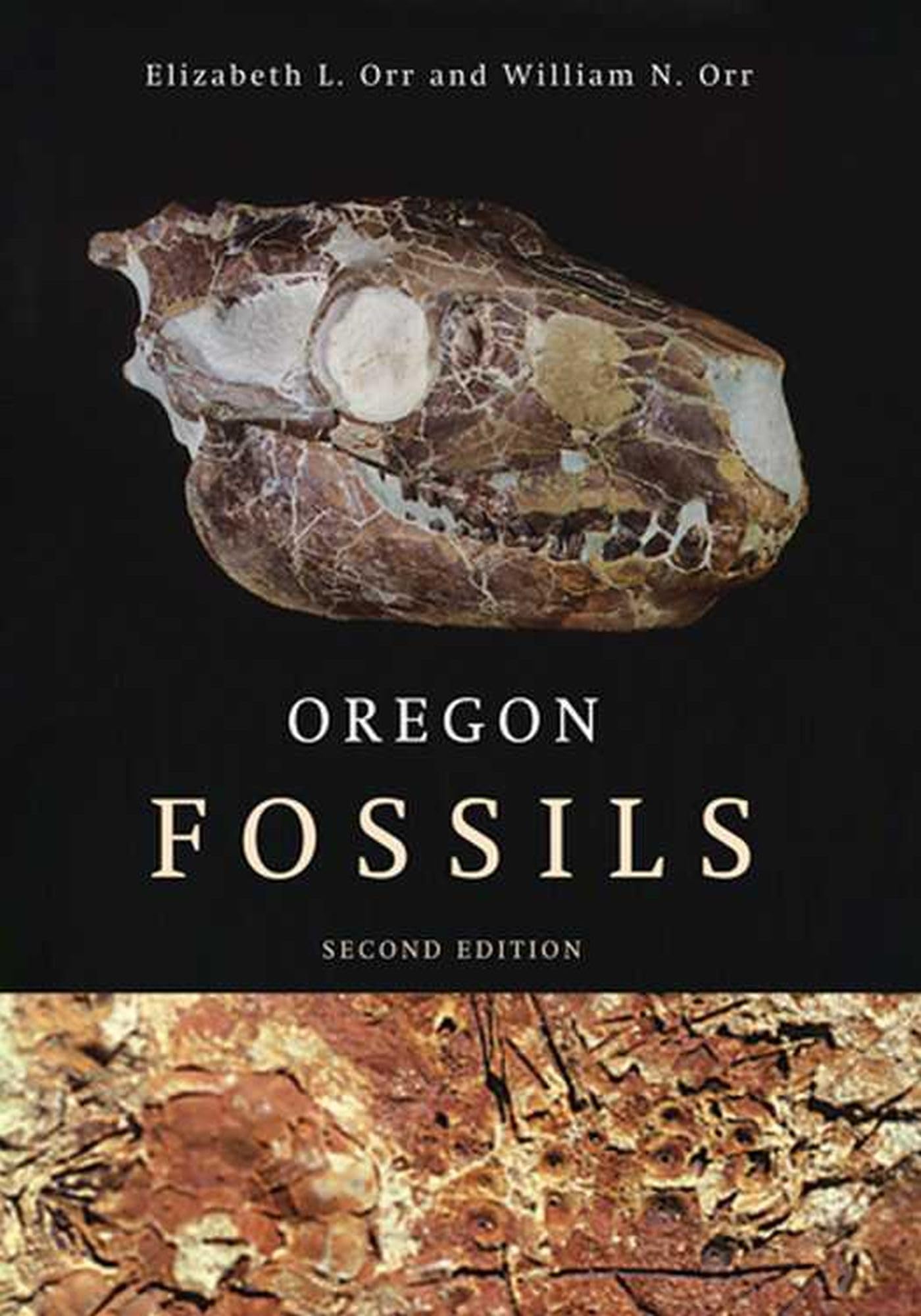 3 Best Fossil Study Guides