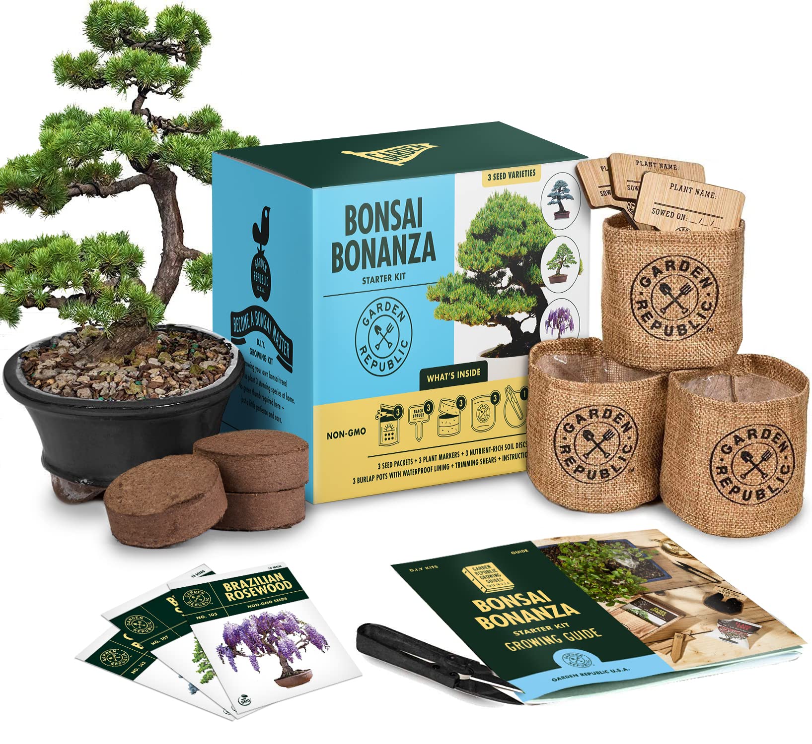 3 Best Plant Growing Kits