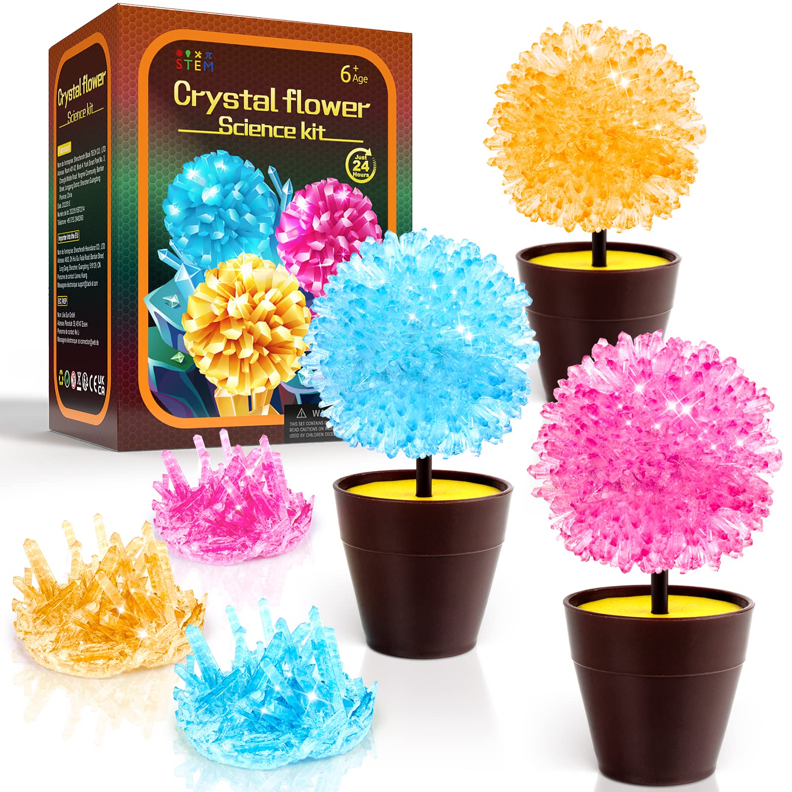 4 Best Crystal Growing Kit