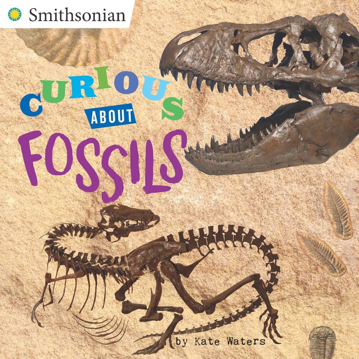 4 Best Fossil Study Guides