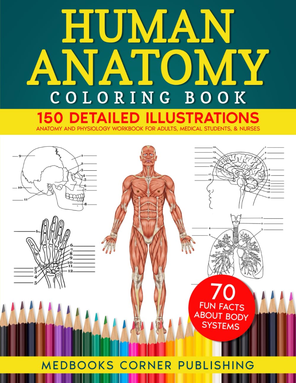 4 Best Human Anatomy Books