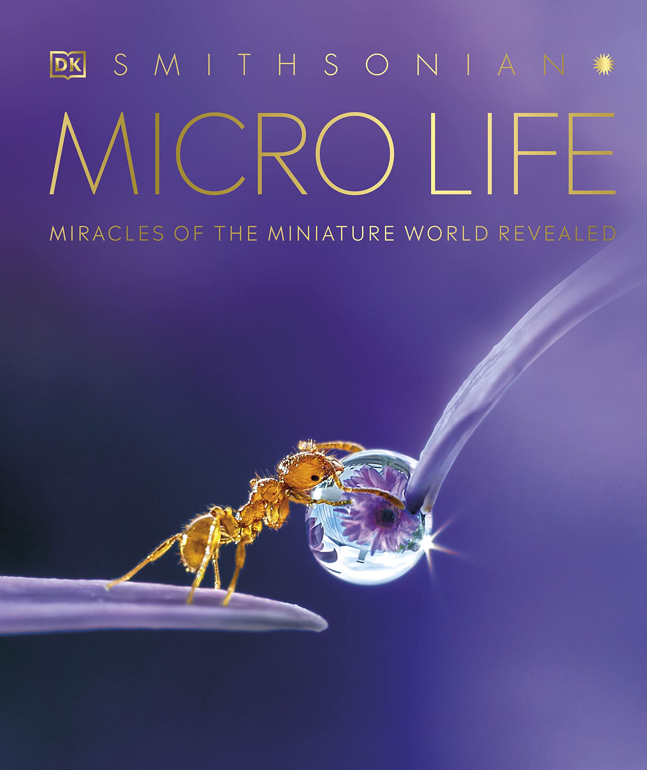 4 Best Microbiology Books