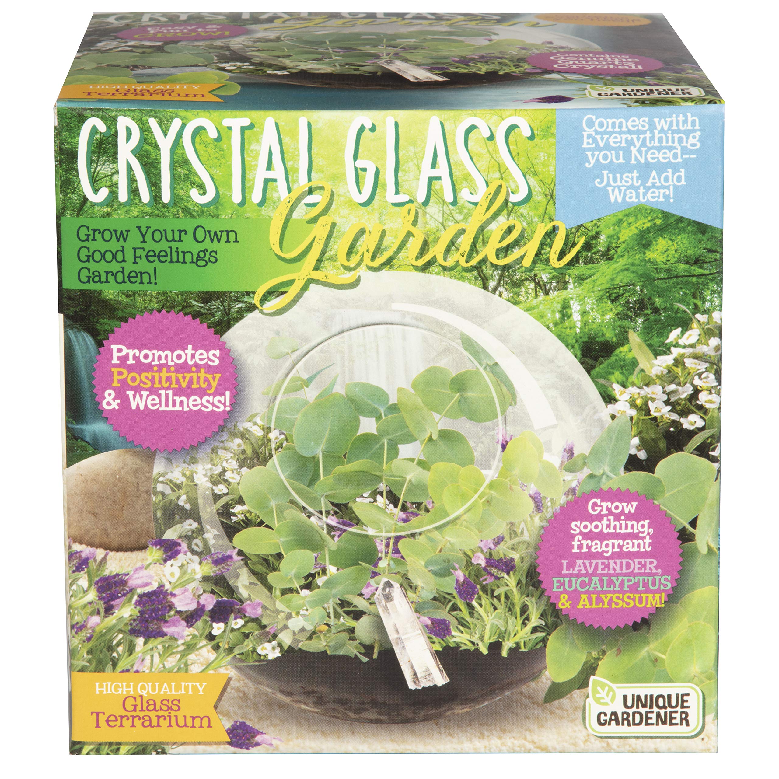 4 Best Salt Crystal Garden Kits