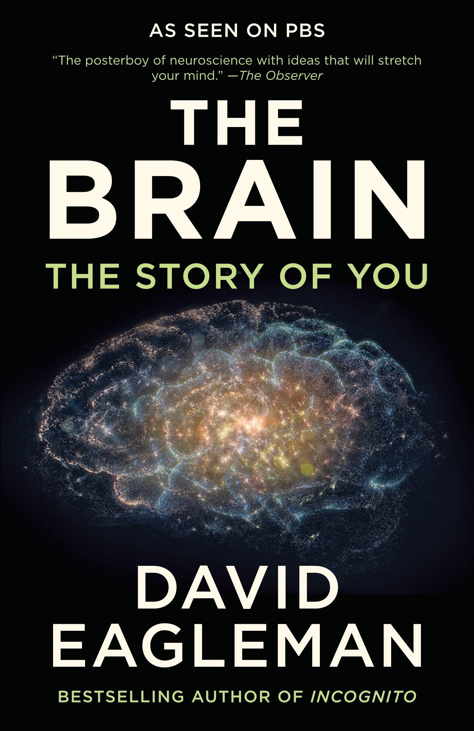 5 Best Brain Science Books