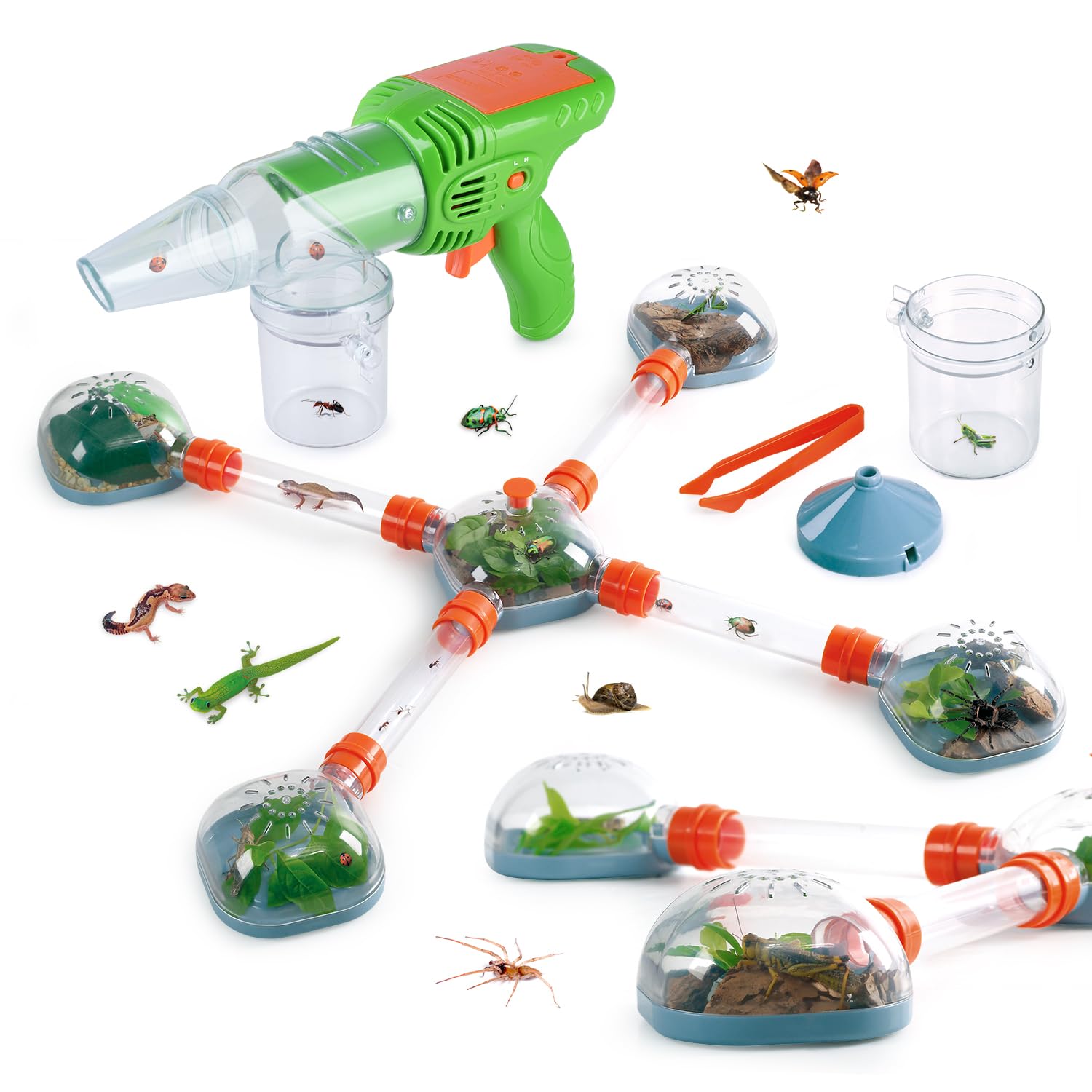 5 Best Bug Catching Kits