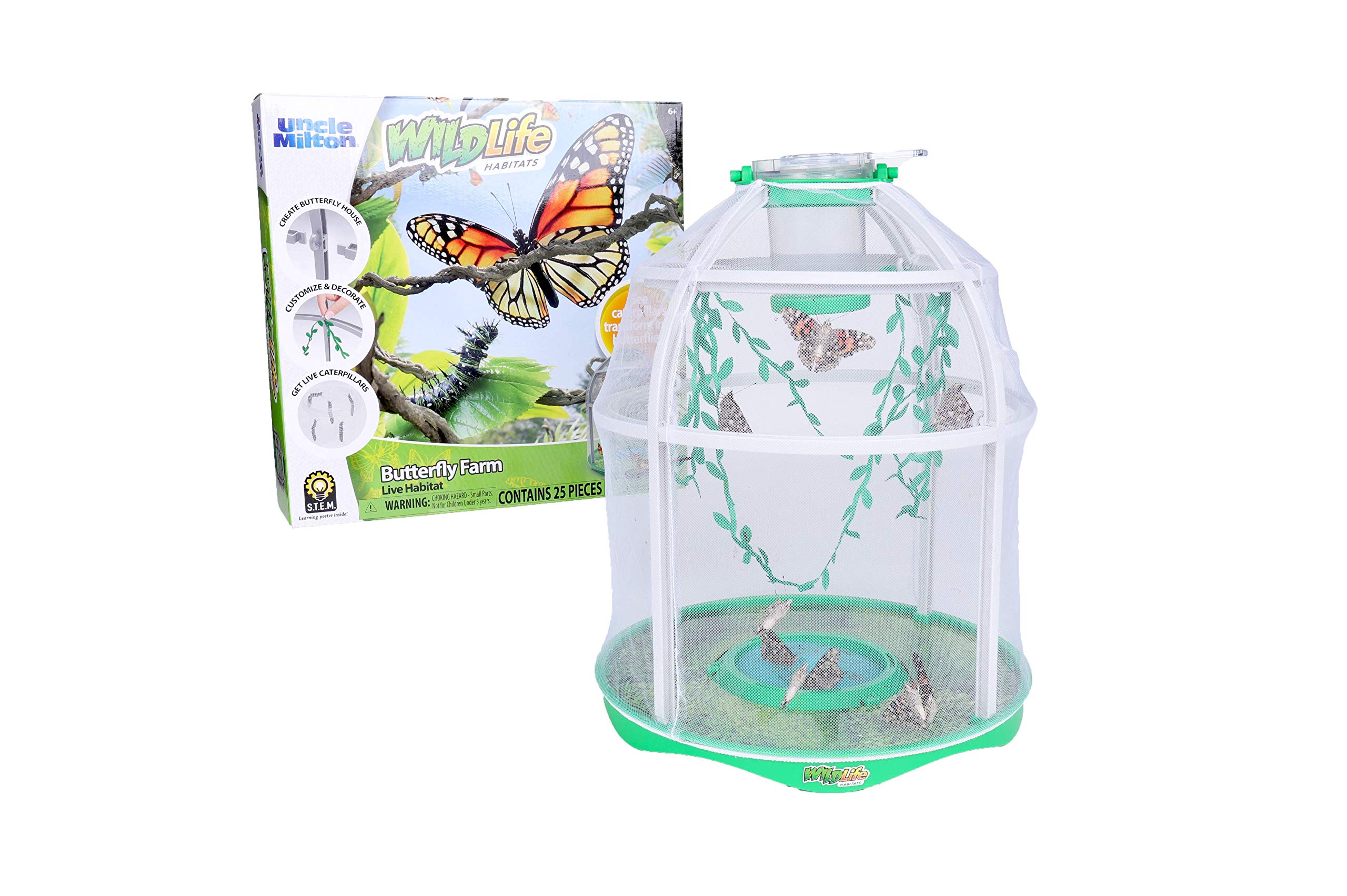 5 Best Butterfly Growing Kits