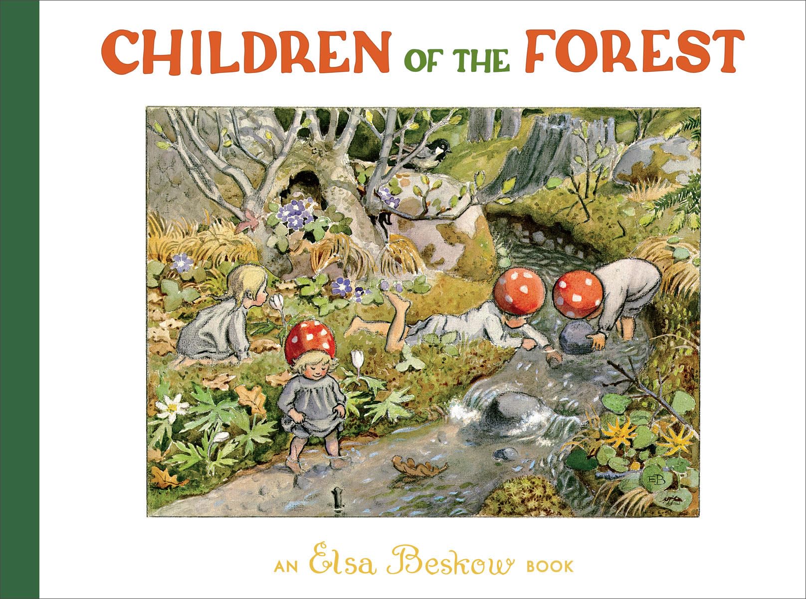 5 Best Forest Ecology Books