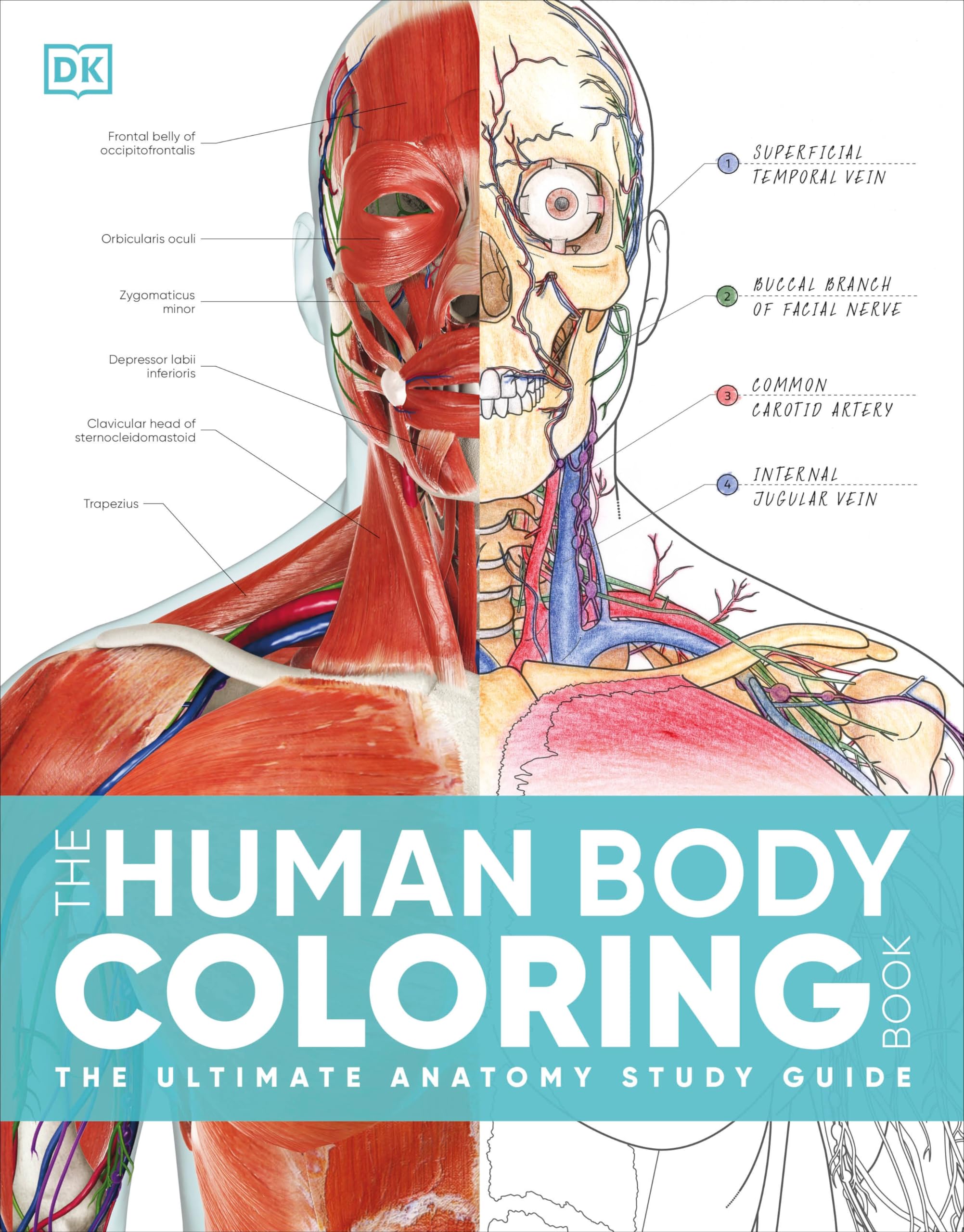 5 Best Human Anatomy Books