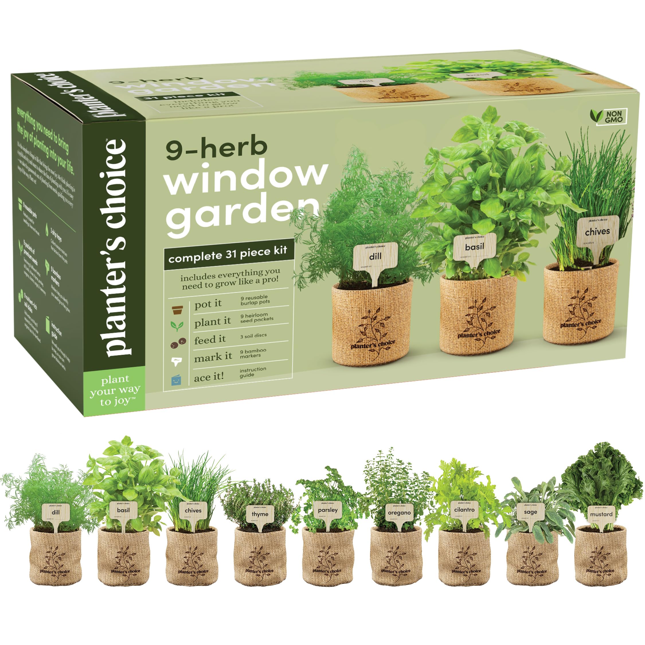 5 Best Plant Growing Kits