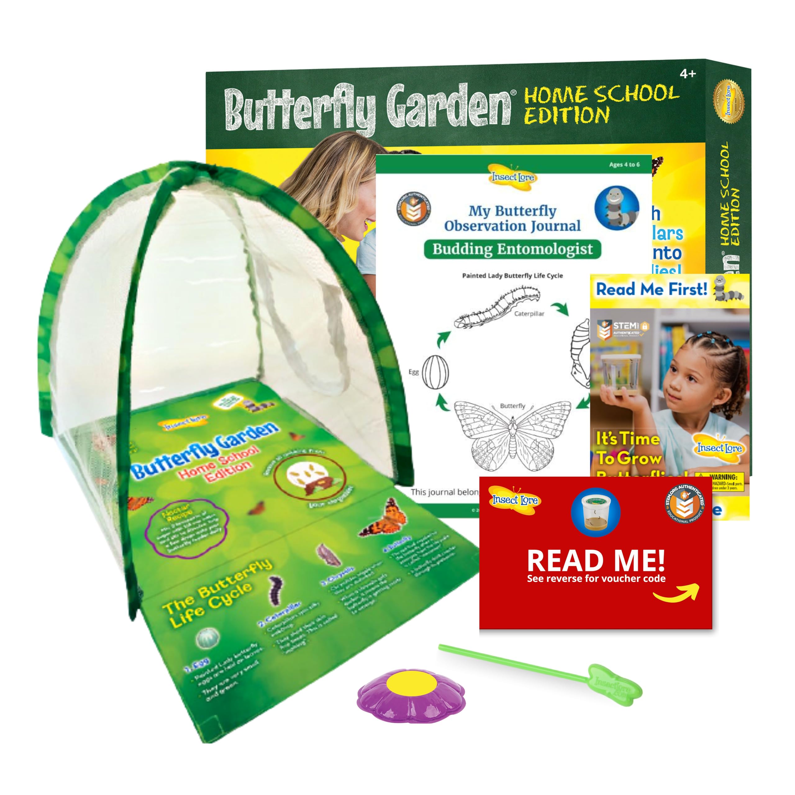 6 Best Butterfly Growing Kits