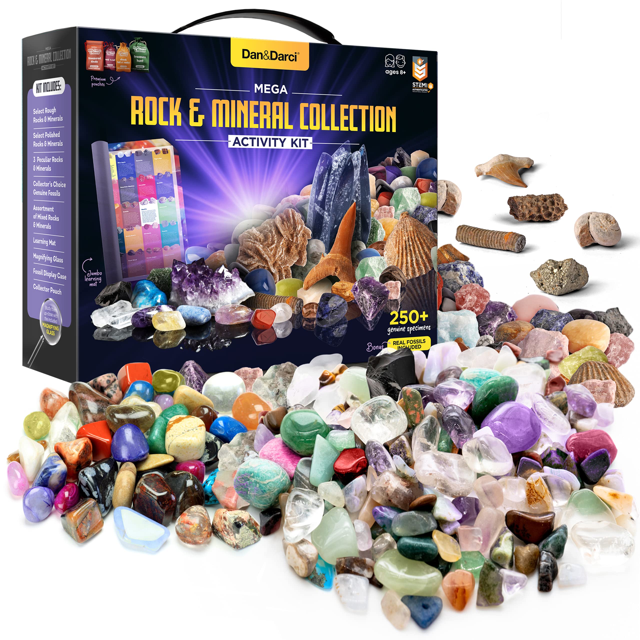 6 Best Geology Collection Sets