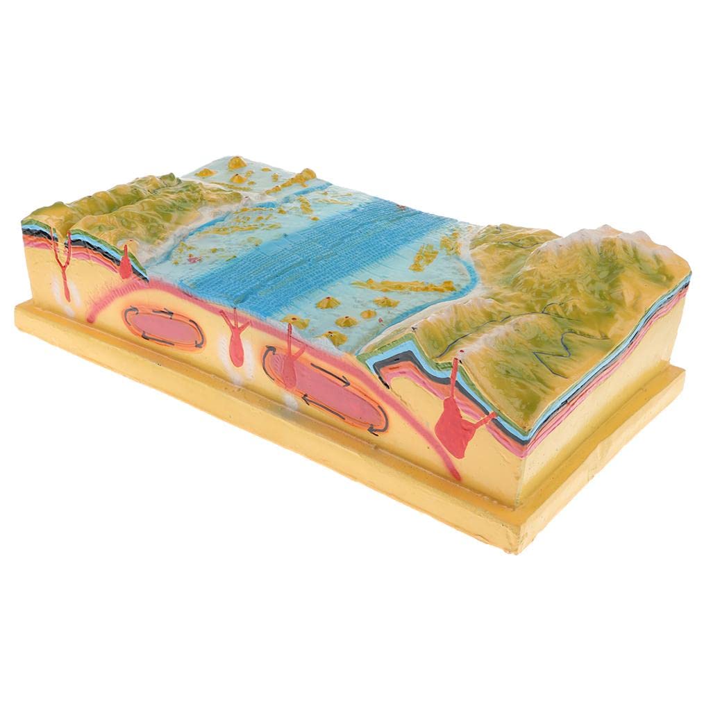 6 Best Plate Tectonics Models