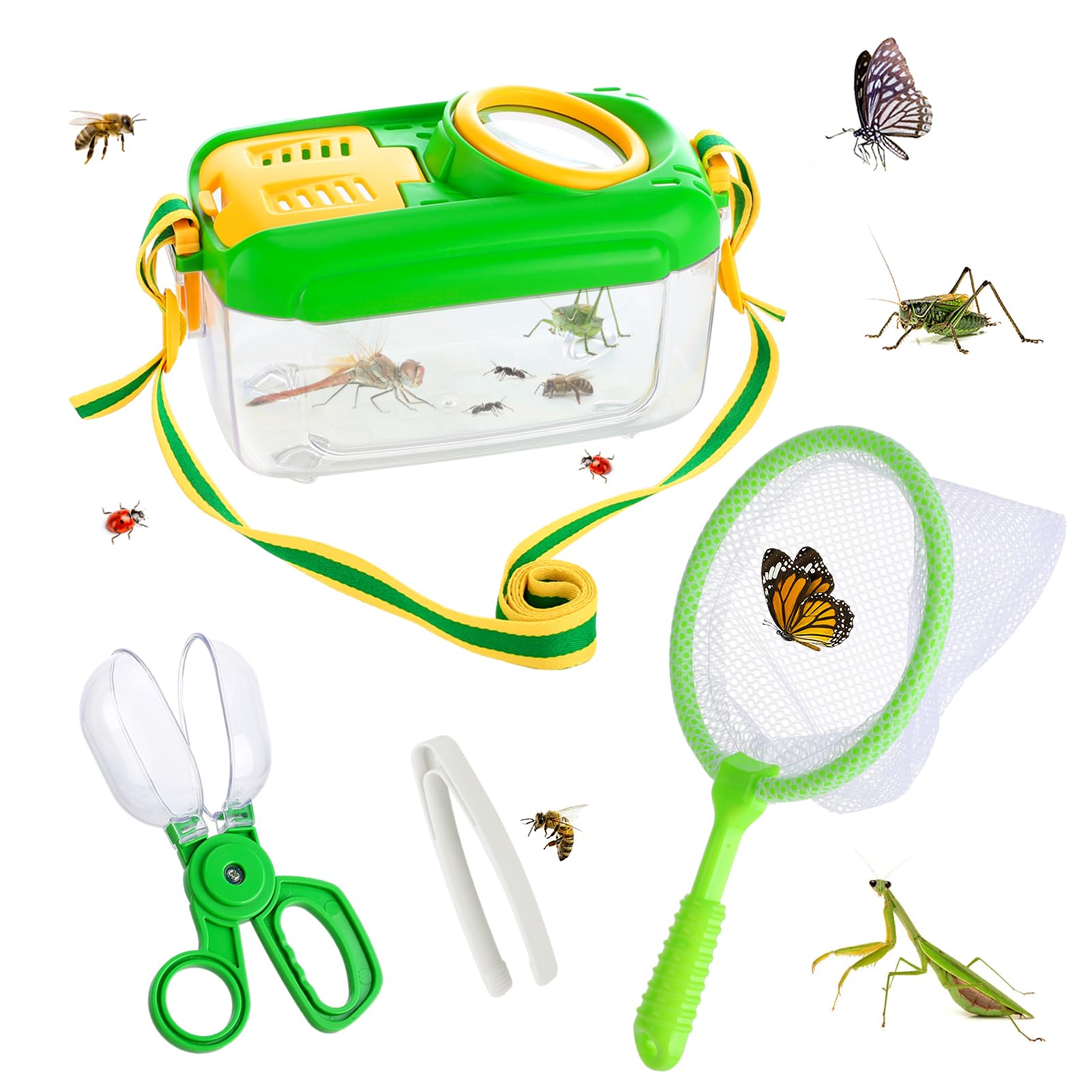 7 Best Bug Catching Kits