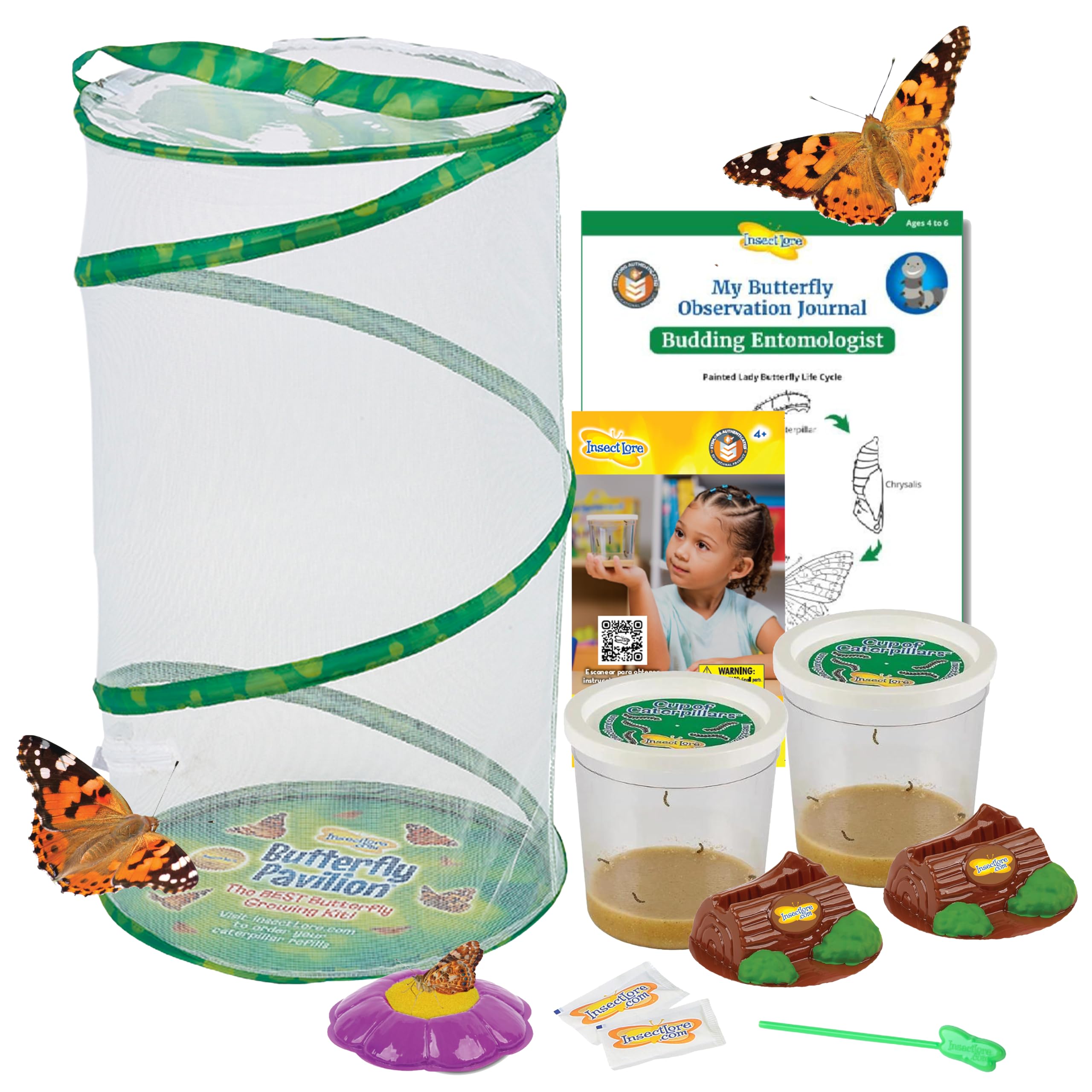 7 Best Butterfly Growing Kits