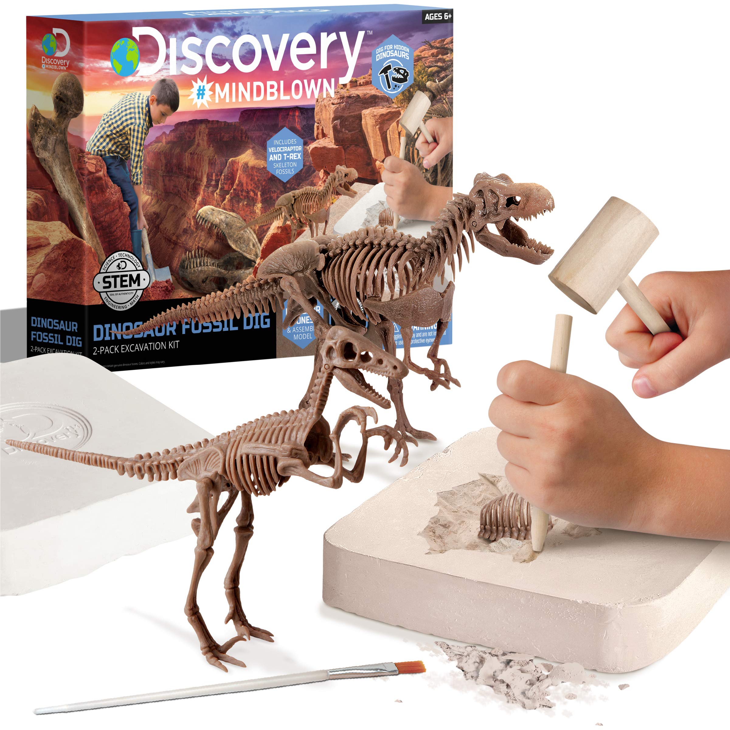 7 Best Fossil Excavation Kits