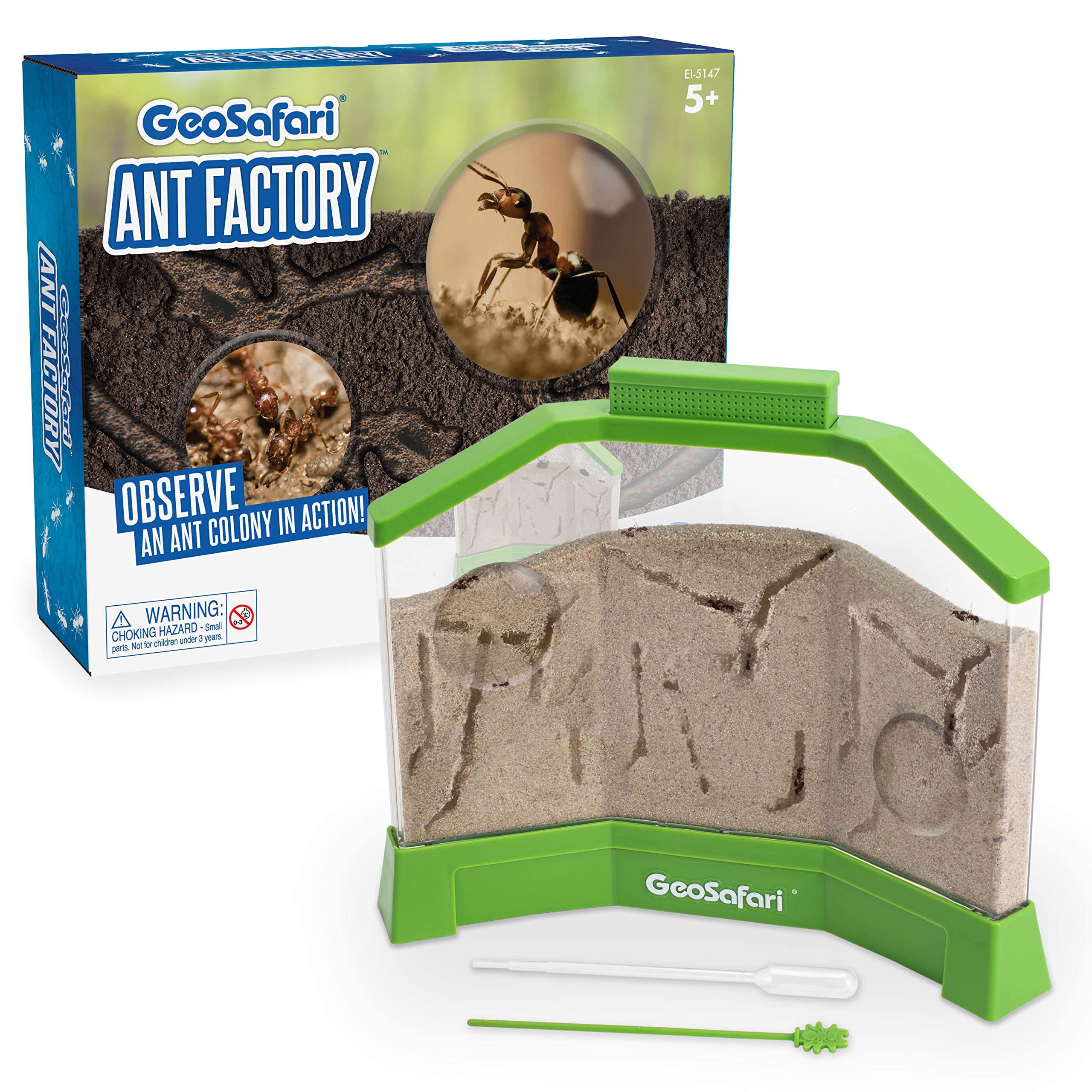 8 Best Ant Farm Sets