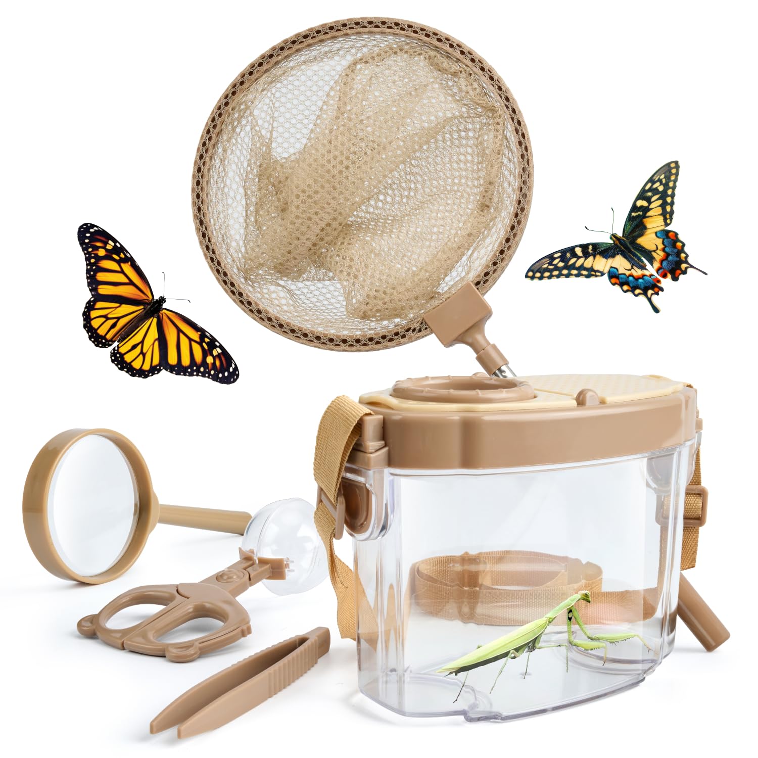 8 Best Bug Catching Kits