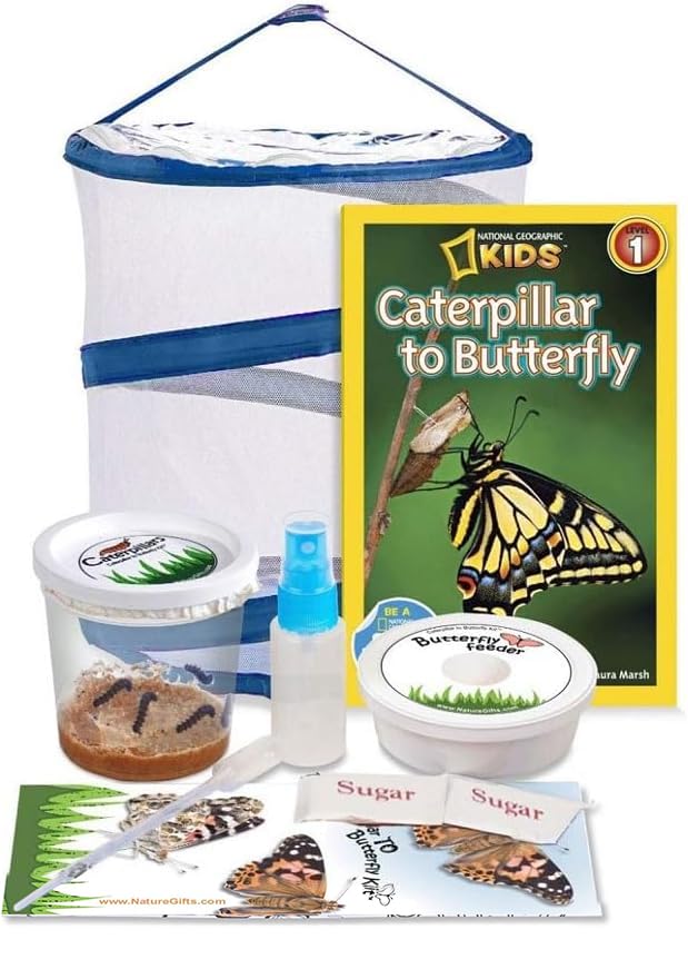 9 Best Butterfly Growing Kits