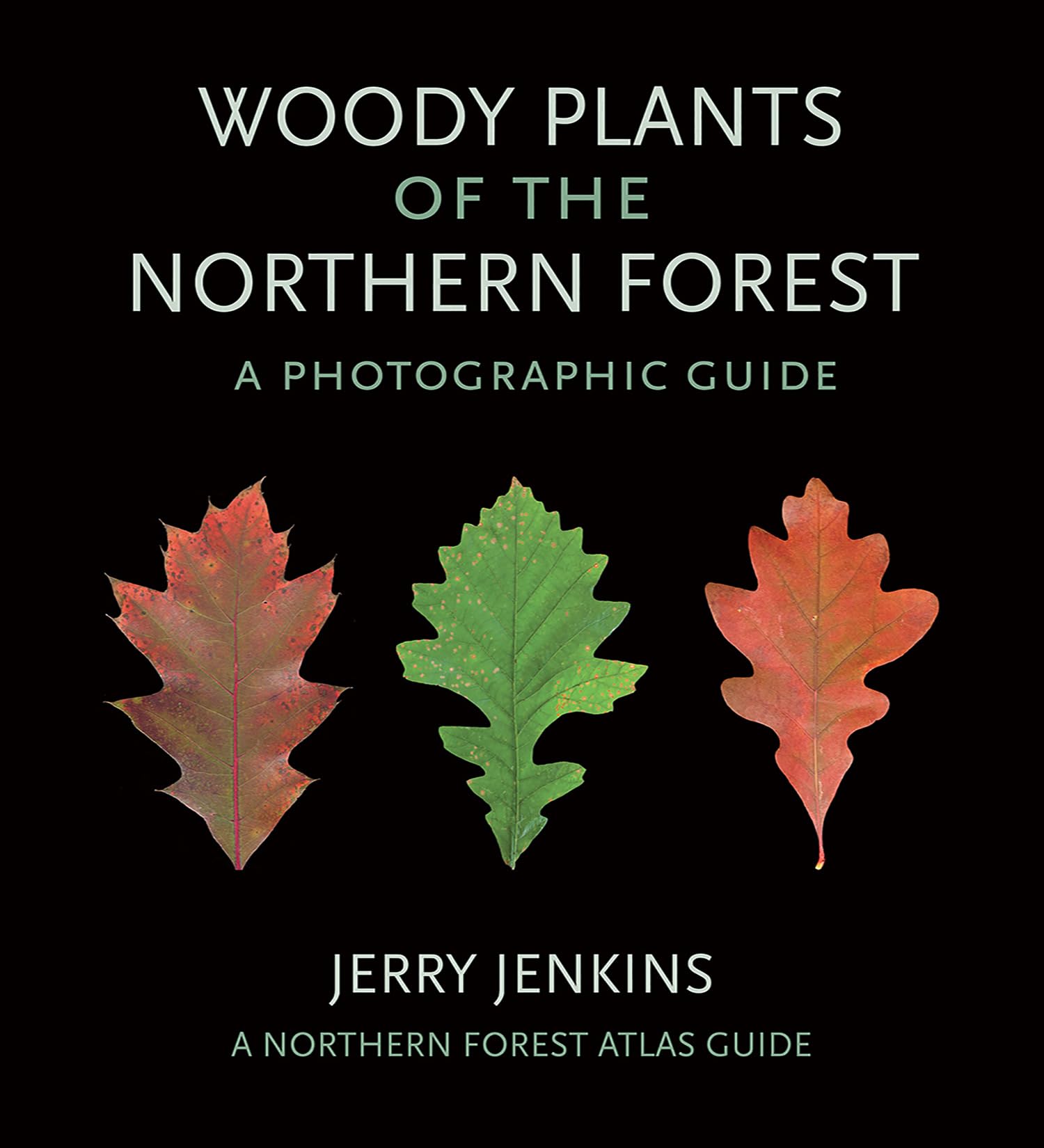 9 Best Forest Ecology Books