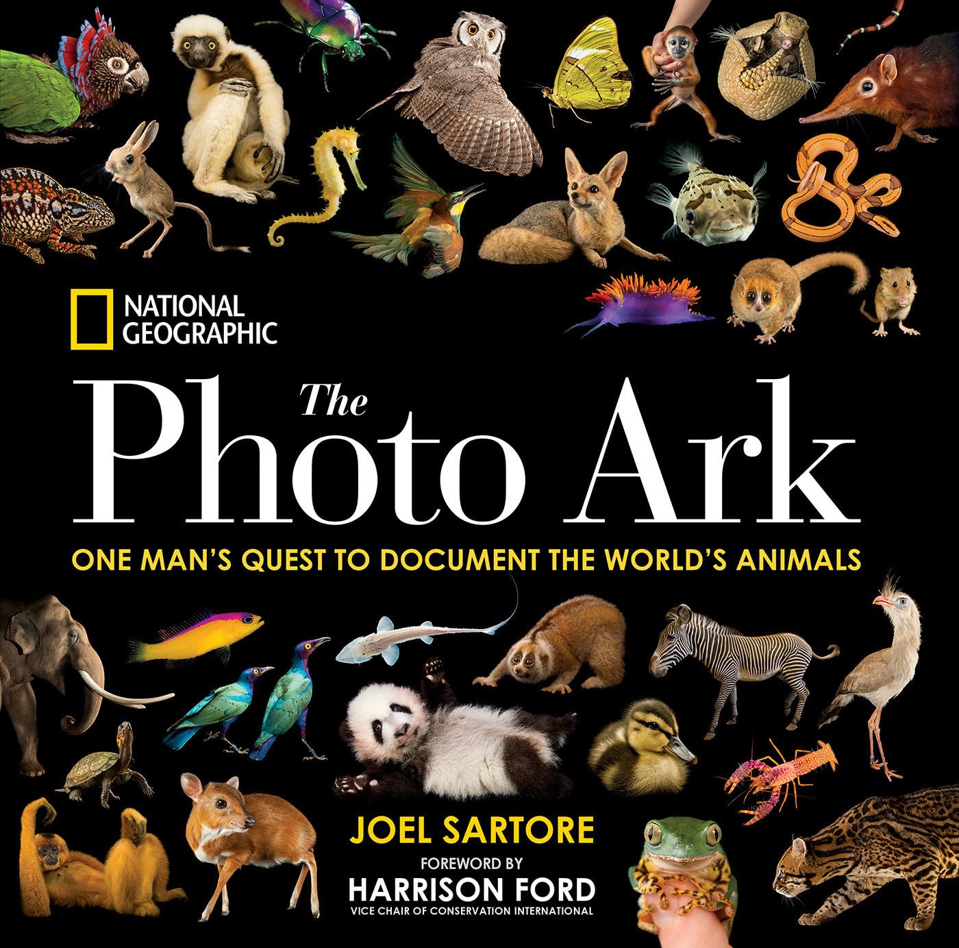 9 Best Science Photography Books