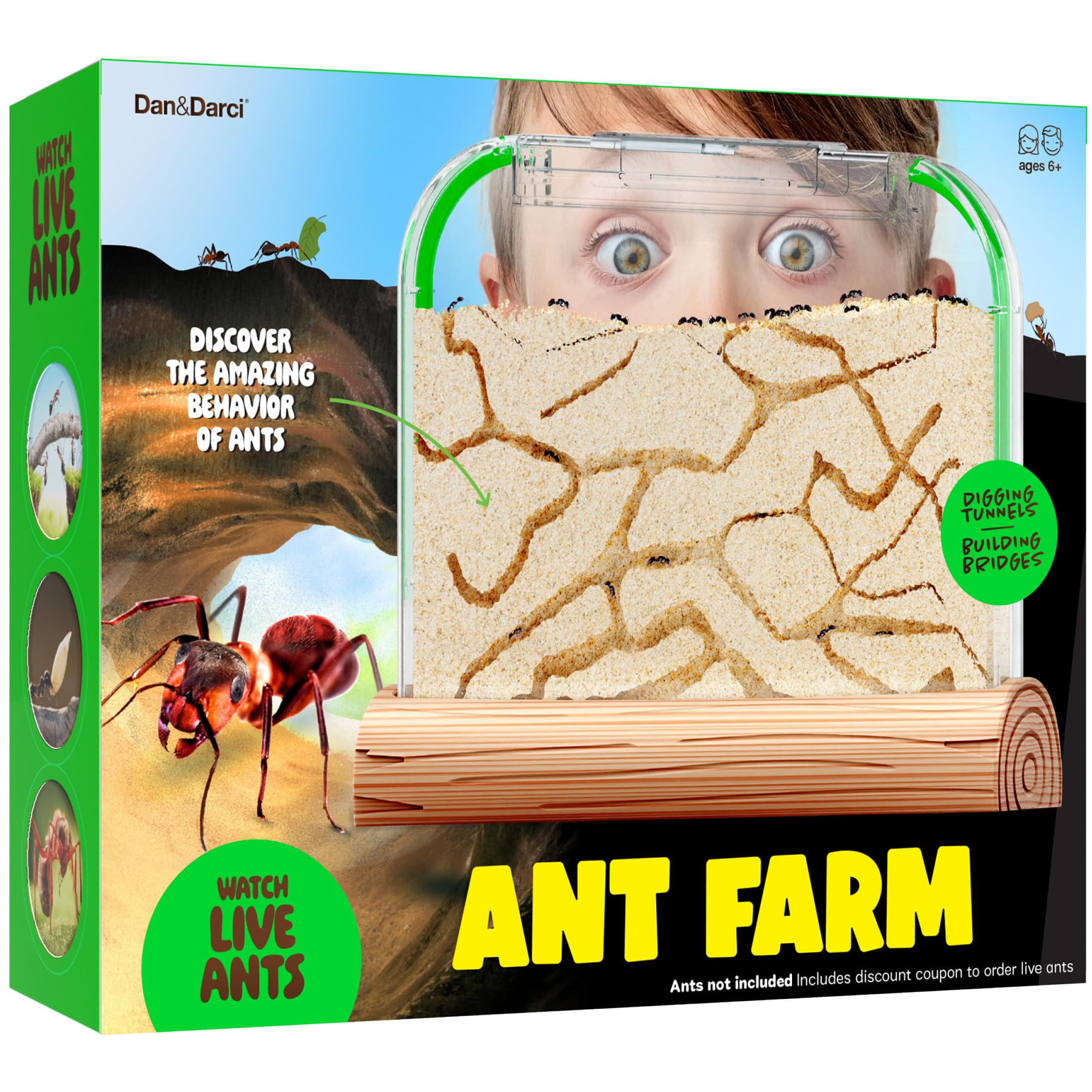 Best Ant Farm Sets