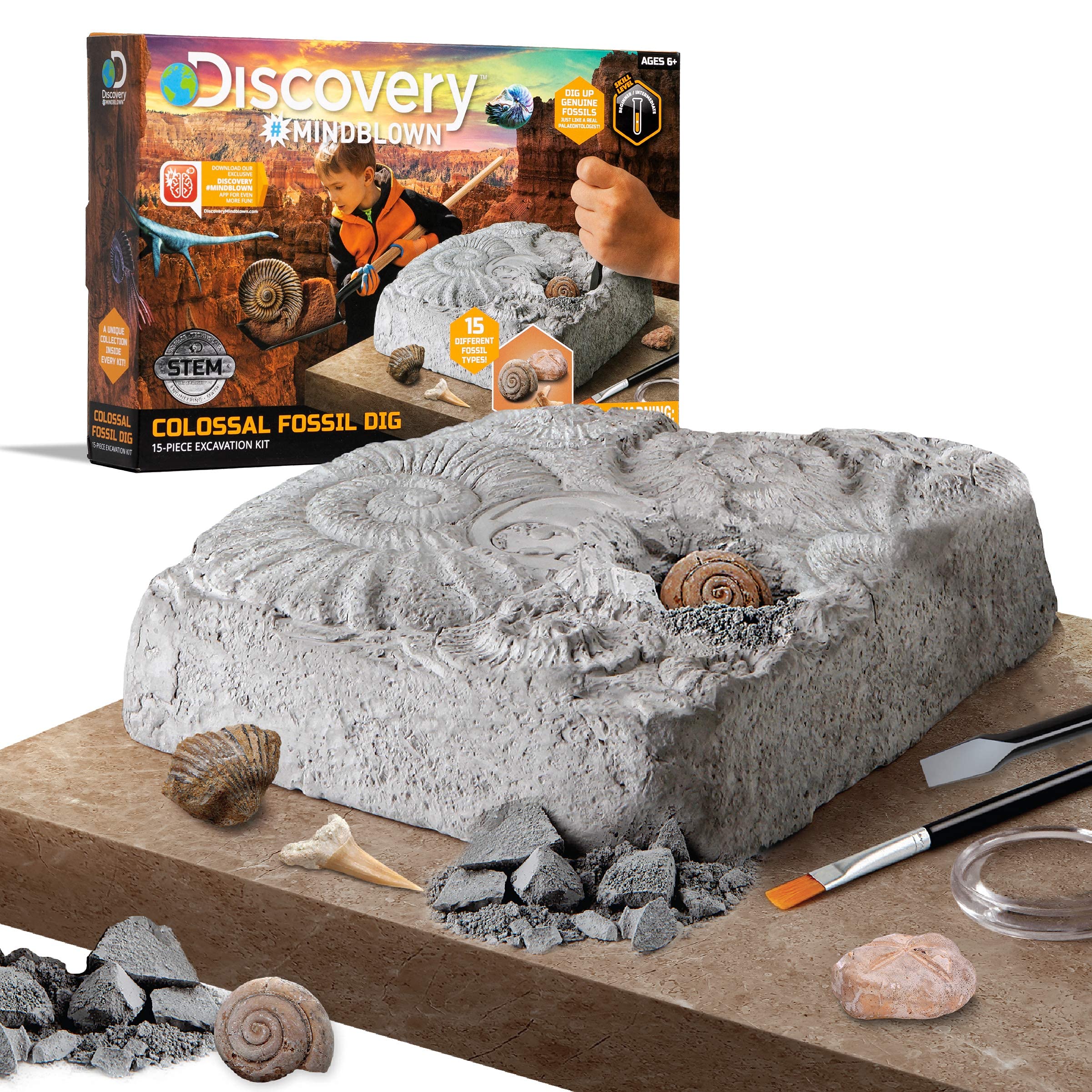 Best Archaeology Dig Sets