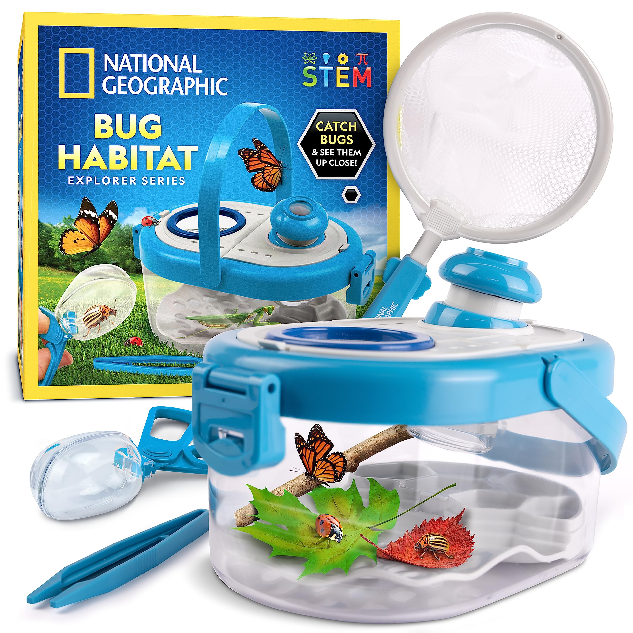 Best Bug Catching Kits