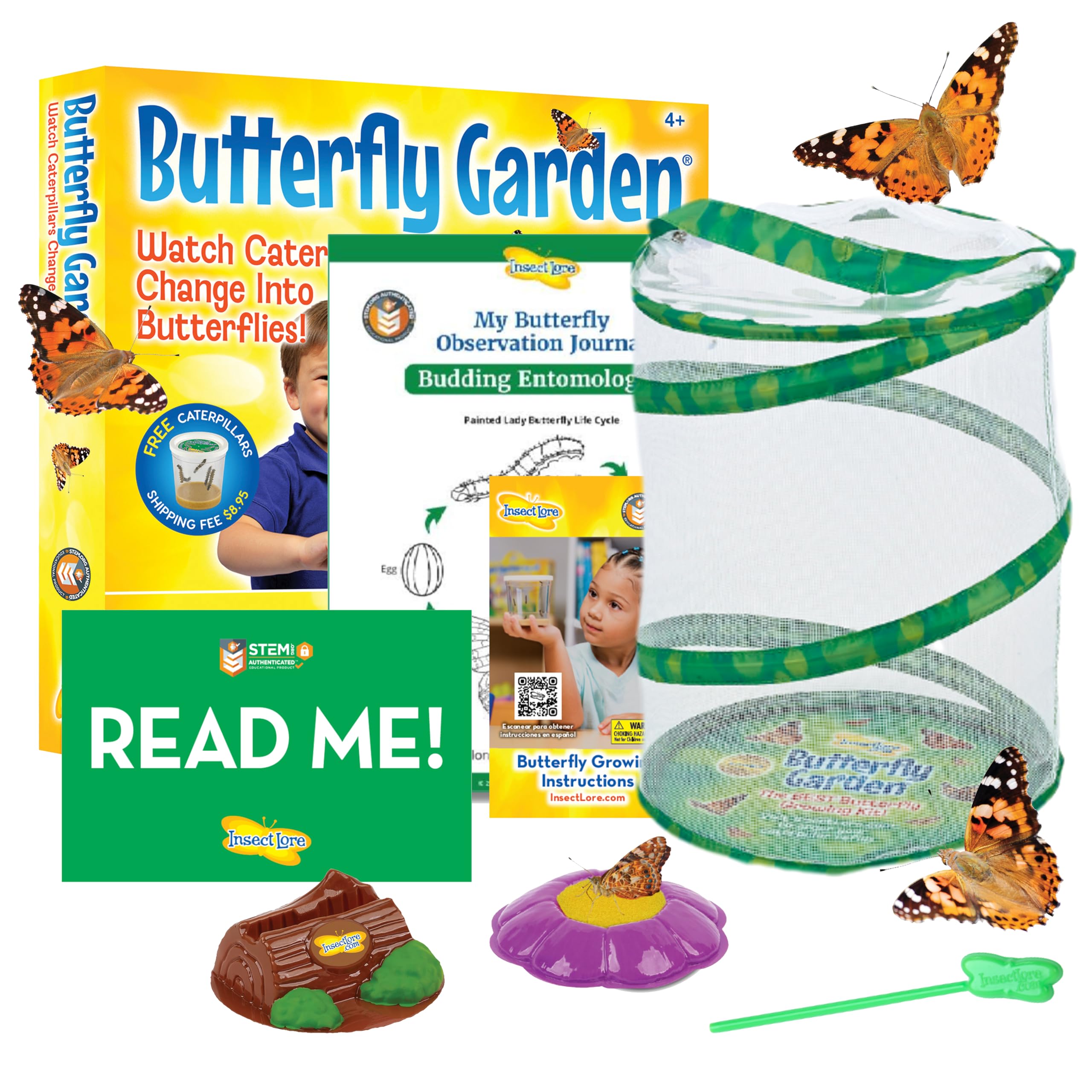 Best Butterfly Growing Kits