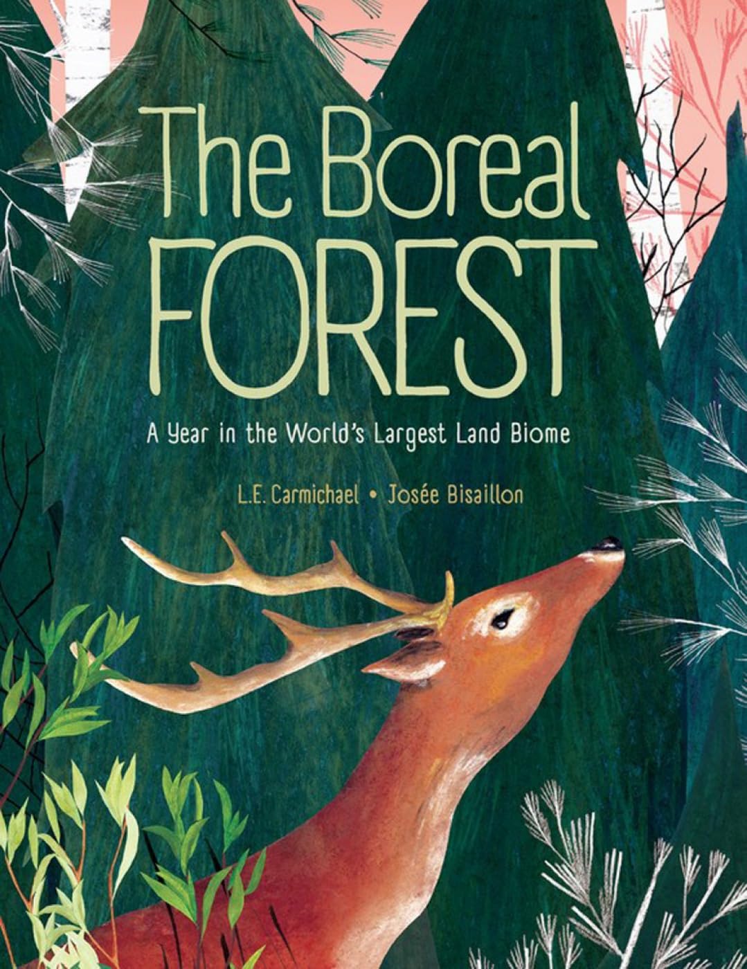 Best Forest Ecology Books