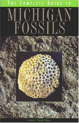 Best Fossil Study Guides