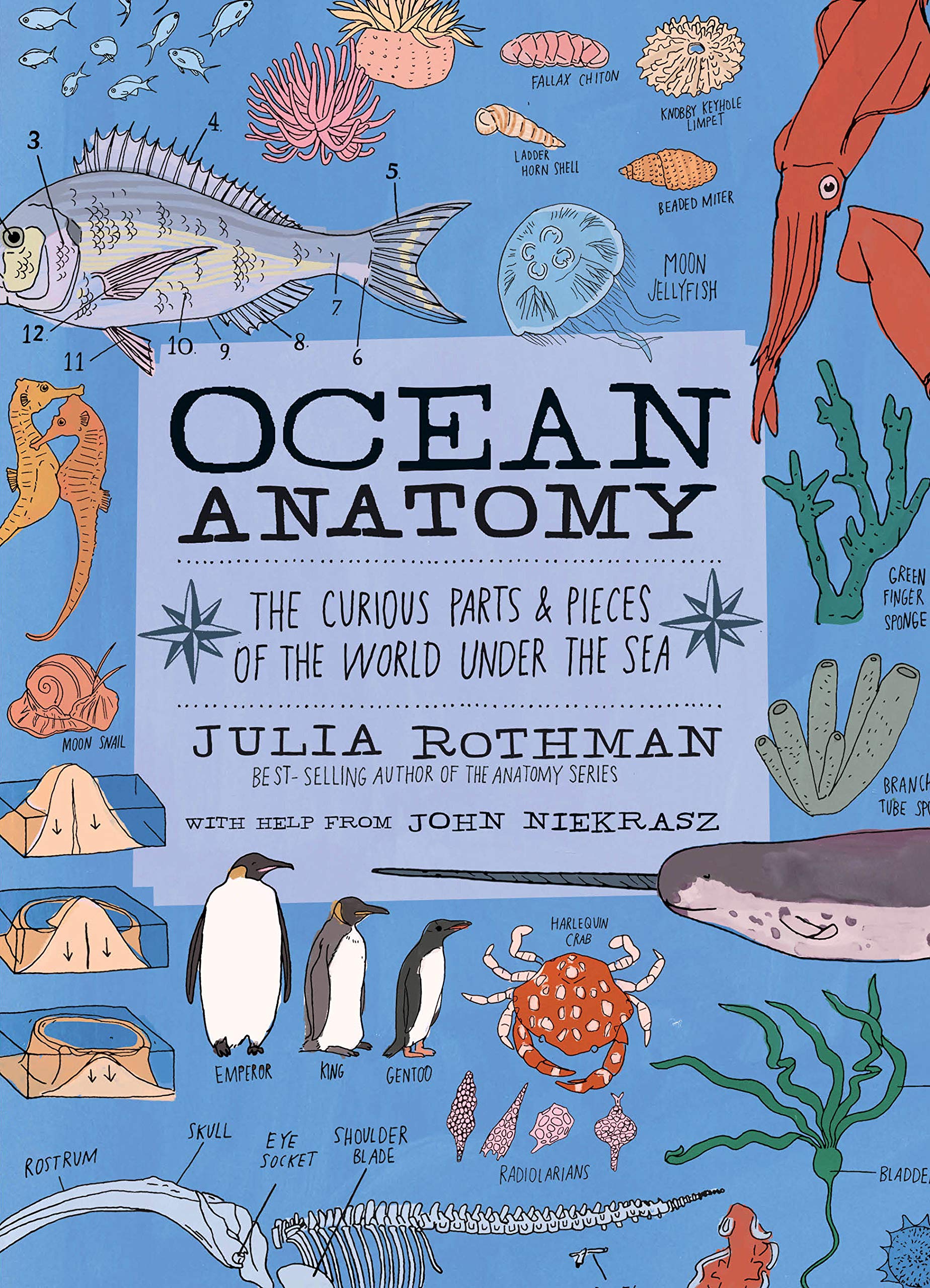 Best Marine Biology Books